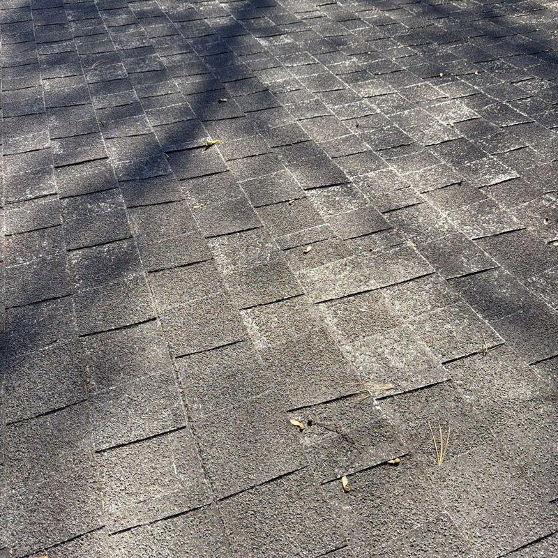 Asphalt shingles with hail damage and granule loss