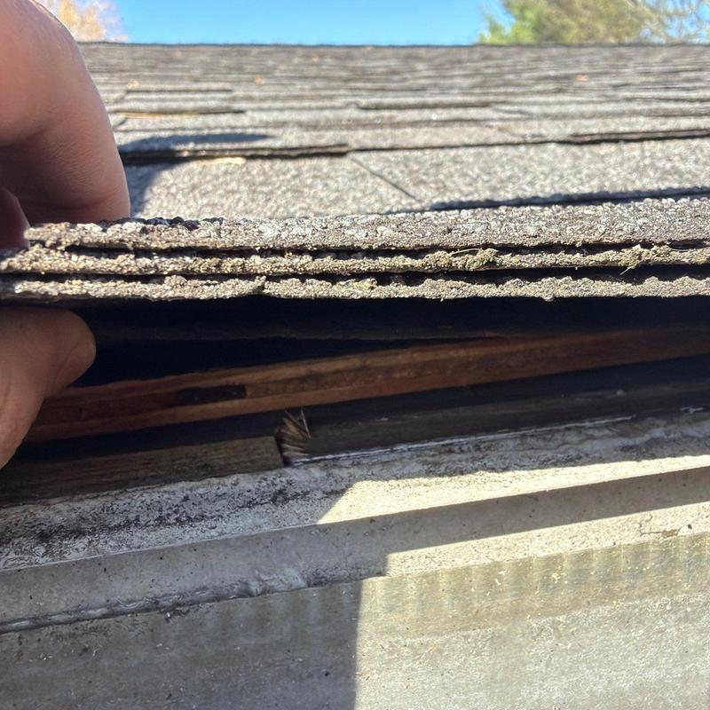 Damaged roof shingles lifted for inspection