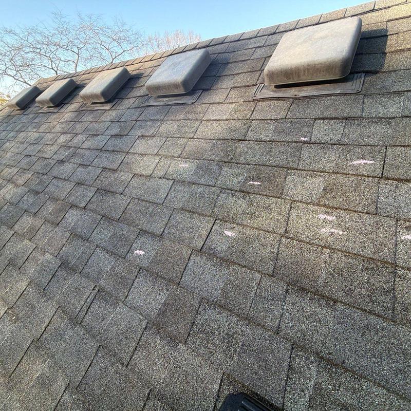 Asphalt shingles with hail damage markings on roof