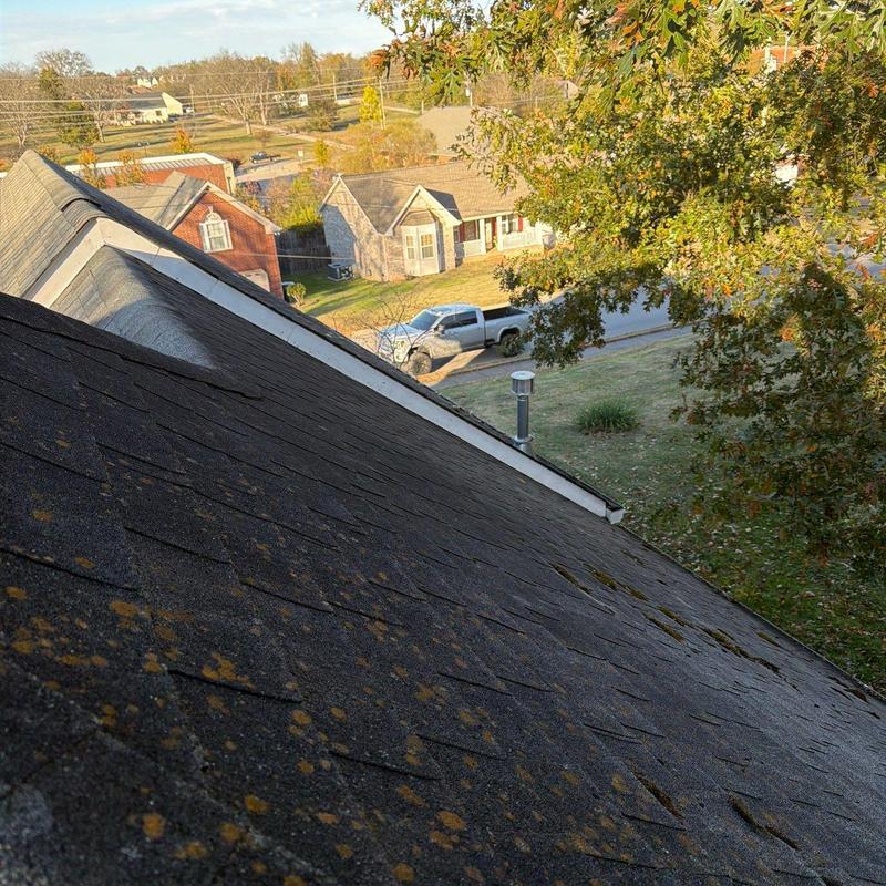 Asphalt roof shingles with hail damage and moss spots