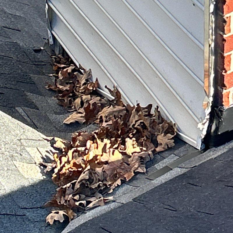Roof gutter with debris and dry leaves buildup