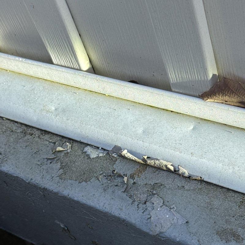 Vinyl siding with damaged paint and leaf debris