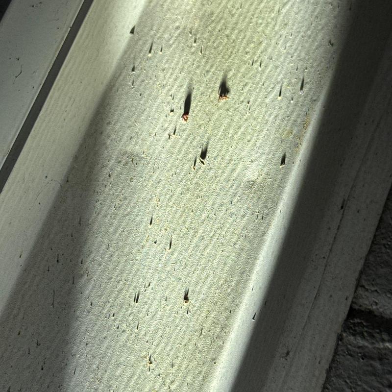 Metal flashing with hail damage and dents