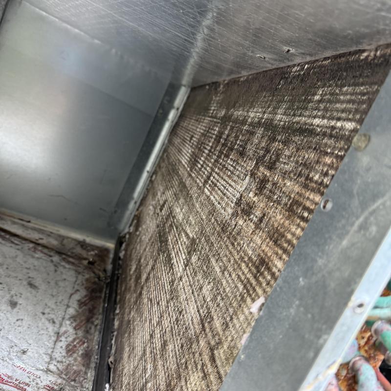HVAC evaporator coil with heavy dust buildup HVAC evaporator coil with heavy dust buildup