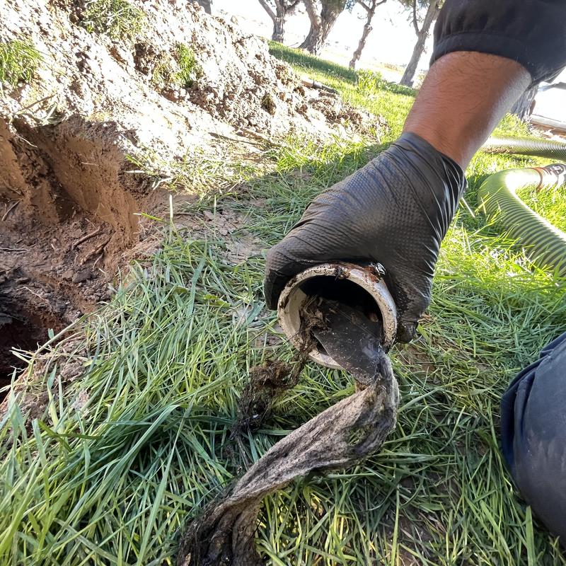 Septic tank pipe clogged with fibrous debris removal