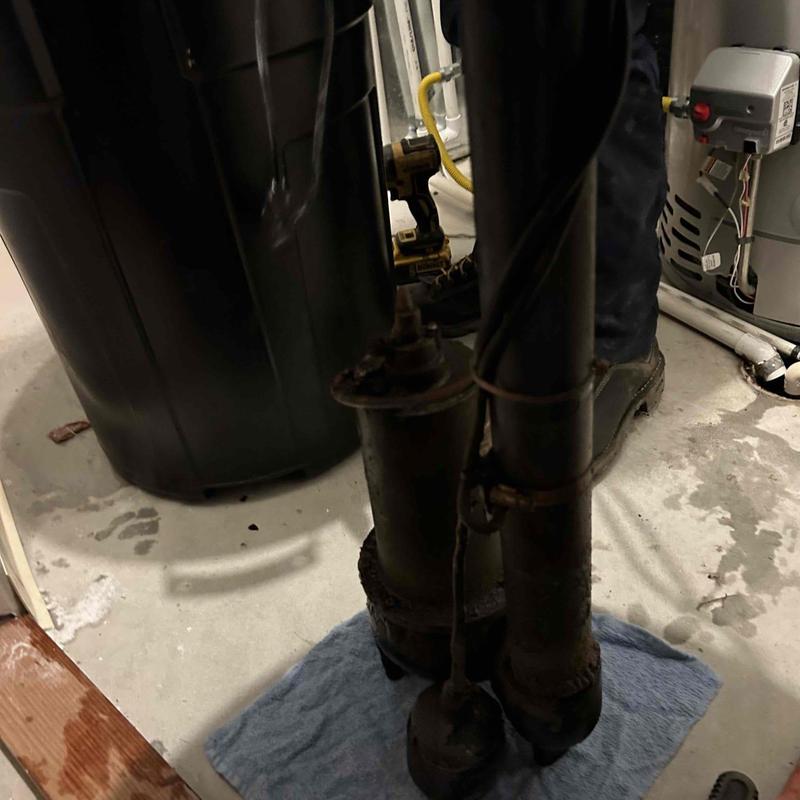 Sewage ejection pump removal and replacement in basement