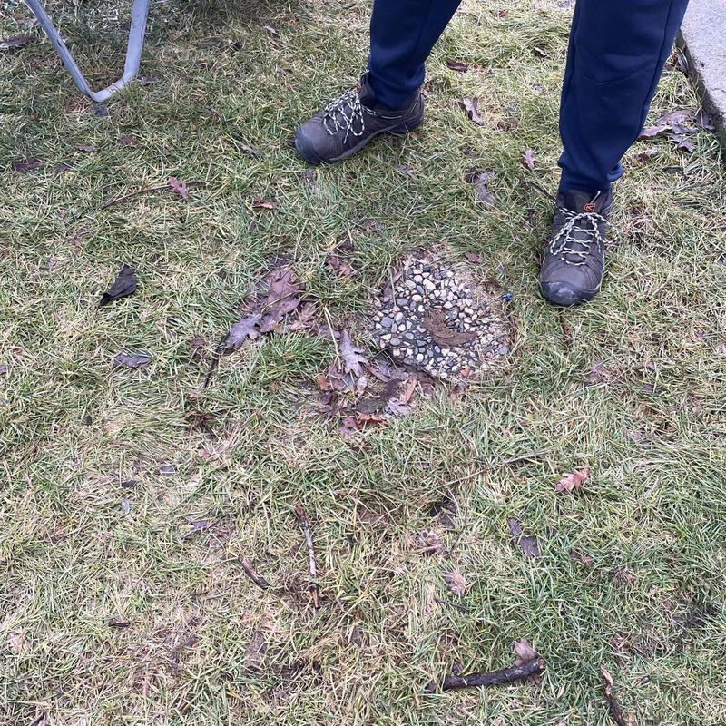 Septic tank access and surrounding lawn inspection