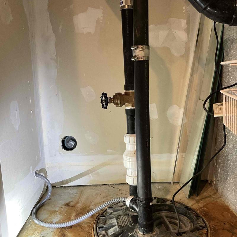 Sump pump with new riser and valve installation