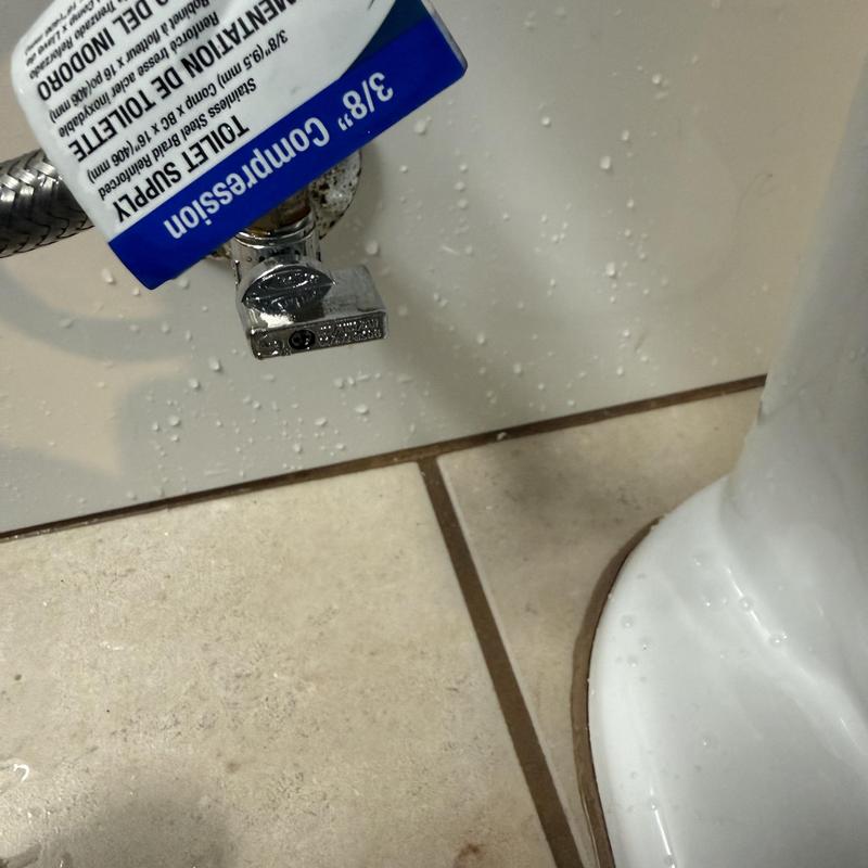 Toilet angle stop valve with new supply line installed Toilet angle stop valve with new supply line installed