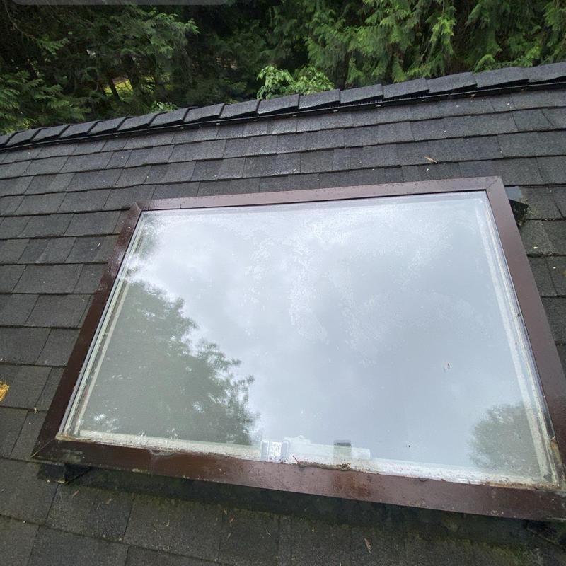 Roof skylight on shingle roof with moss buildup