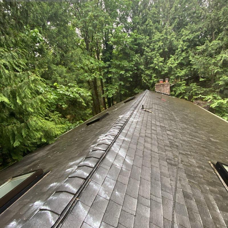 Asphalt shingle roof with ridge vents in forested area
