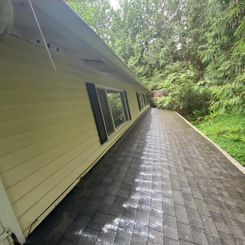 Asphalt shingle roof with moss treatment and cleaning