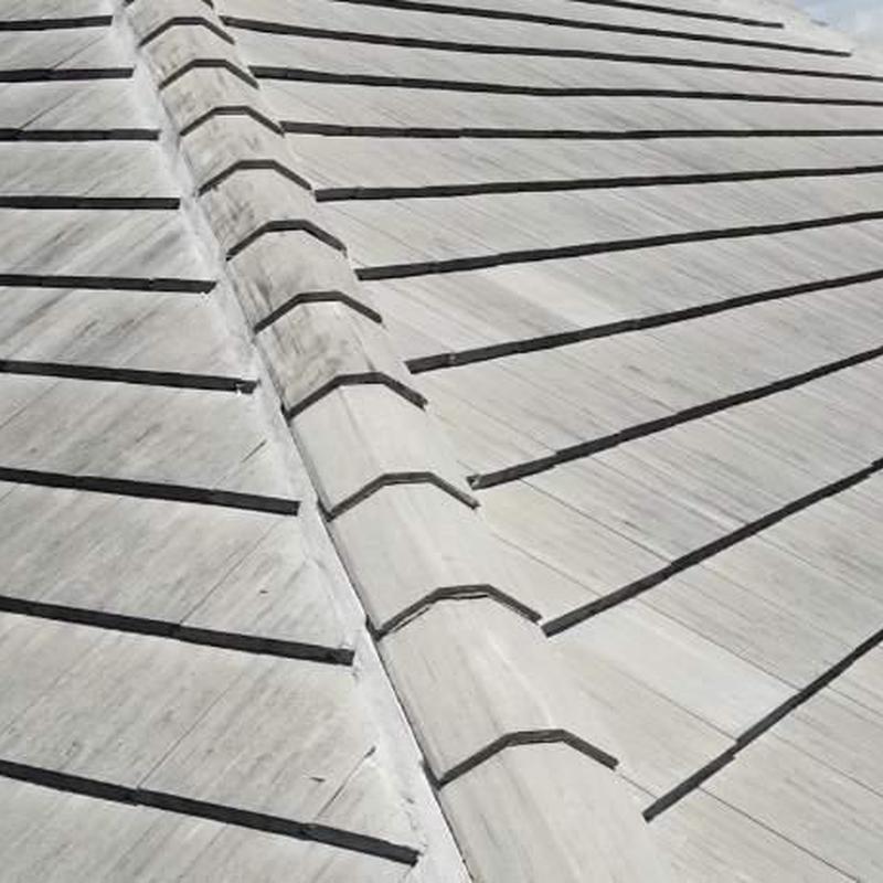Concrete tile roof ridge and tiles inspection in Cape Coral Concrete tile roof ridge and tiles inspection in Cape Coral