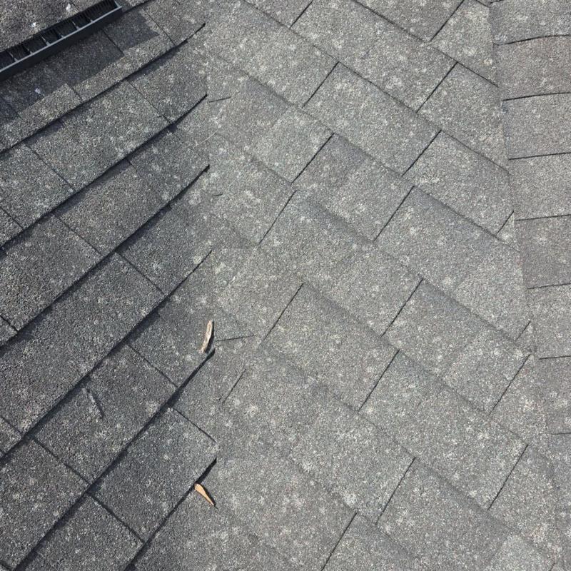 Asphalt roof shingles with hail damage spots