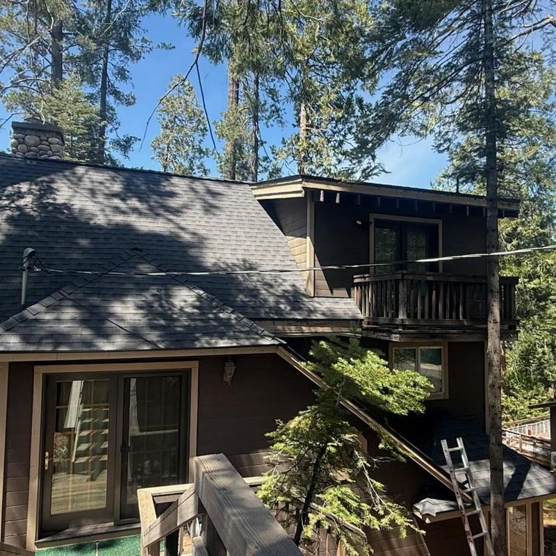 Gaf lifetime asphalt roofing on forest cabin