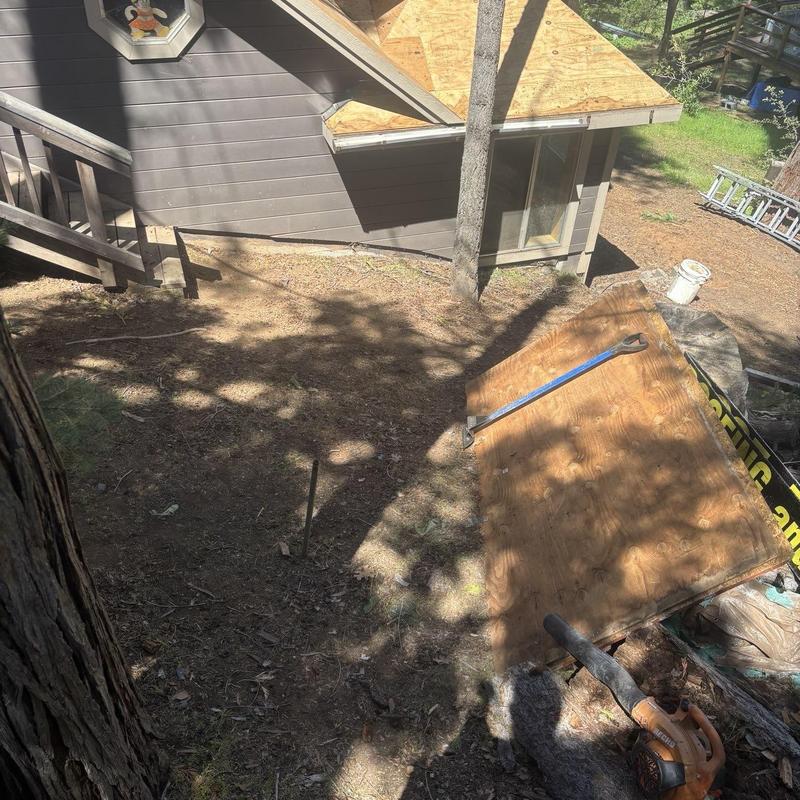 Cabin roof sheathing removal and rot repair in Mi Wuk
