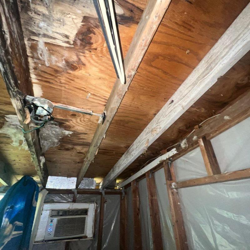 Roof sheathing with water damage and compromised joists Roof sheathing with water damage and compromised joists