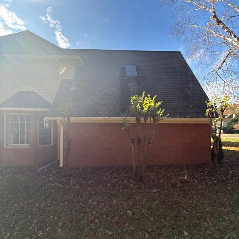 Asphalt shingle roof with hail damage in sunlight