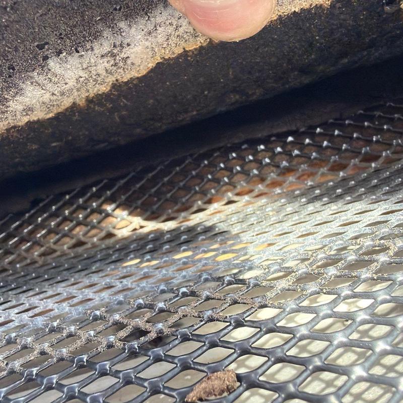 Ridge vent mesh showing minor debris buildup close-up