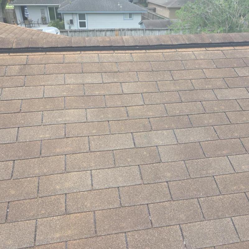 Asphalt roof shingles with minor wear and discoloration Asphalt roof shingles with minor wear and discoloration