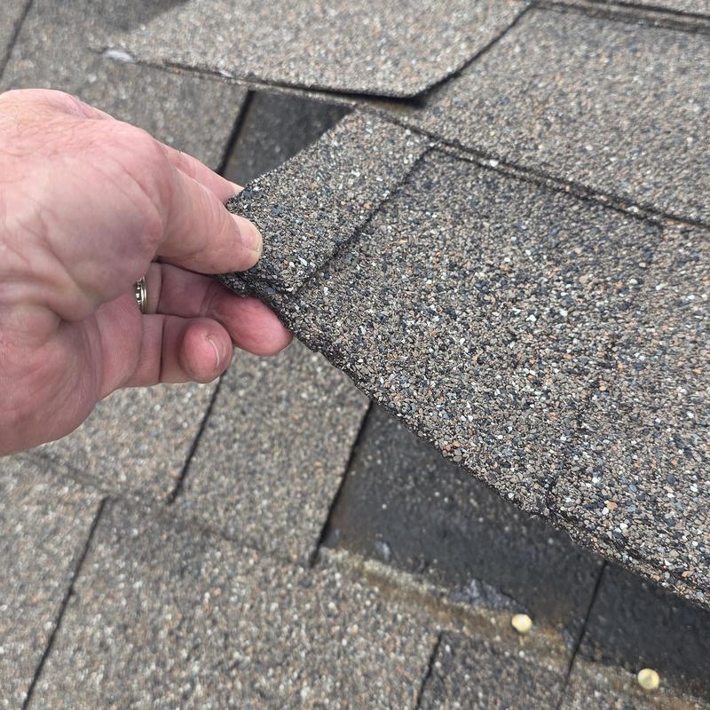 Asphalt roof shingle showing hail damage and granule loss