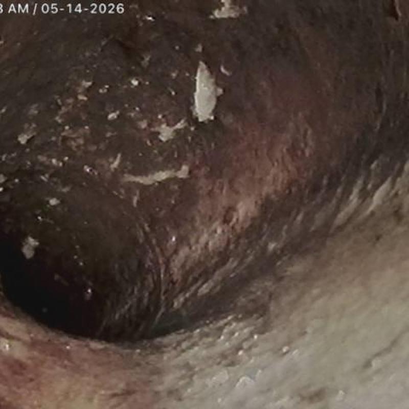 Commercial mainline pipe interior showing corrosion buildup