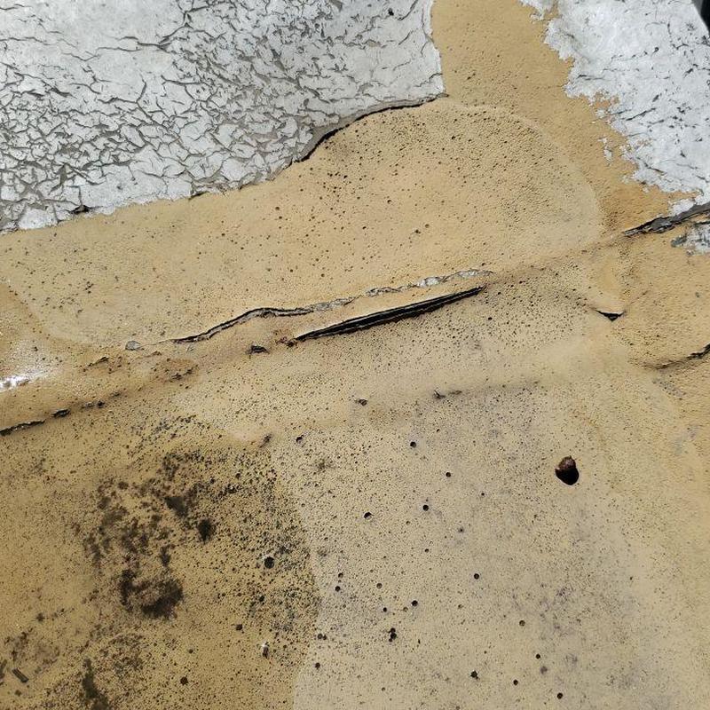 Flat roof membrane with multiple detached seams Flat roof membrane with multiple detached seams