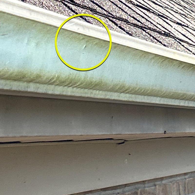 Gutter with dented section beneath shingled roof edge