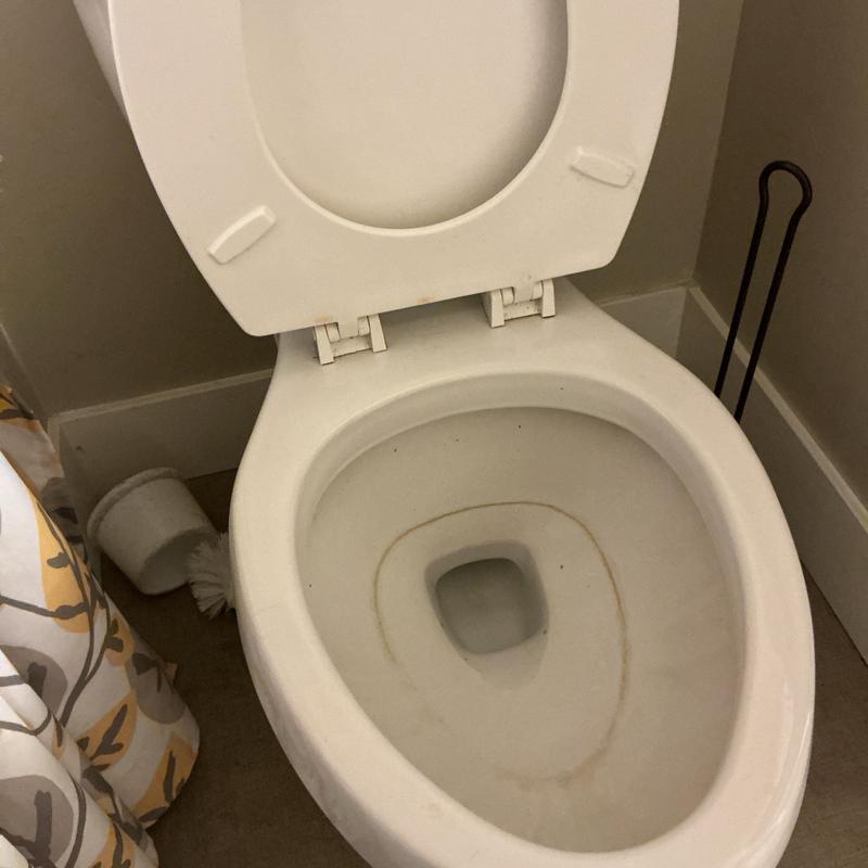 Toilet bowl with raised seat and cleaning brush nearby
