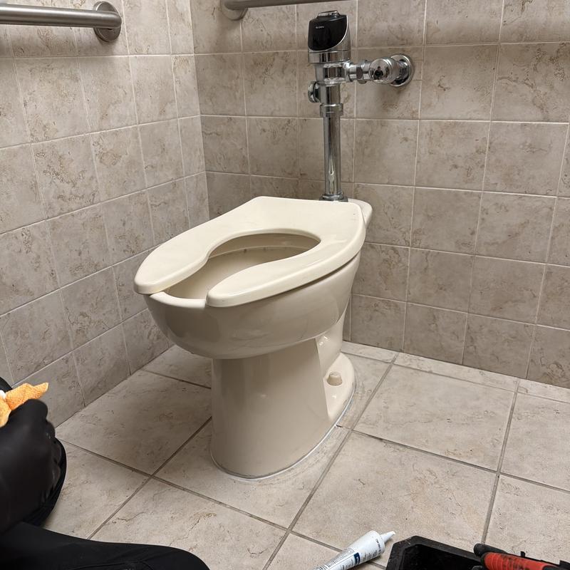 Commercial toilet with flush valve and seal replacement
