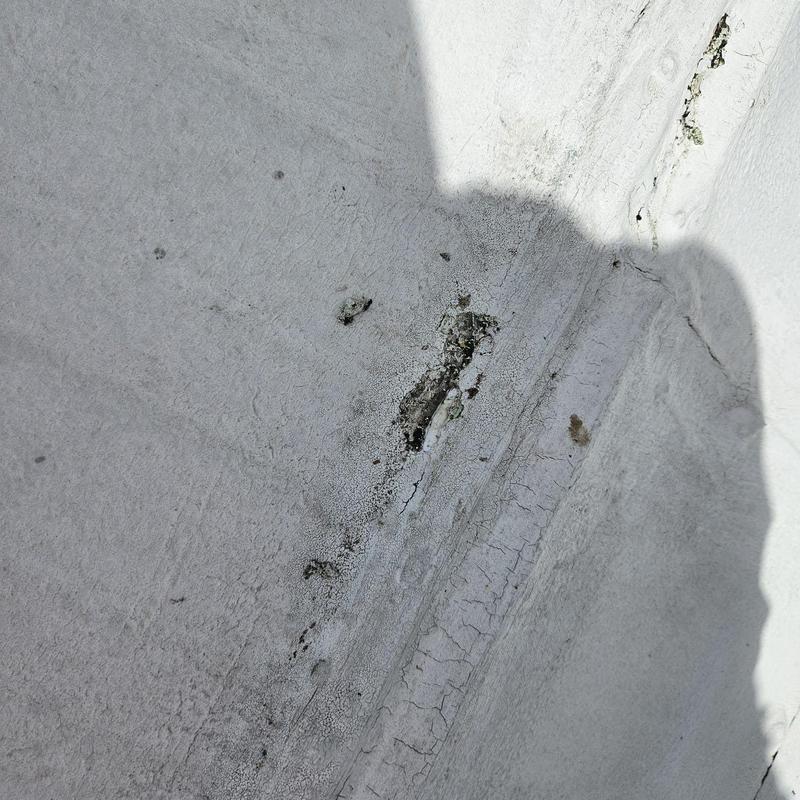 Flat roof membrane with punctures and worn seams Flat roof membrane with punctures and worn seams