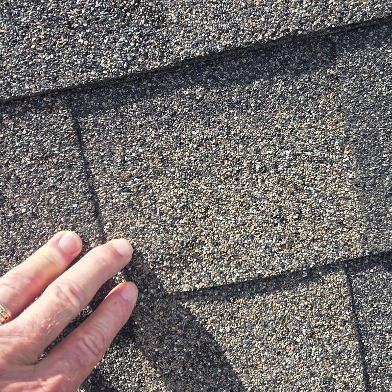 Asphalt roof shingles with hail damage inspection