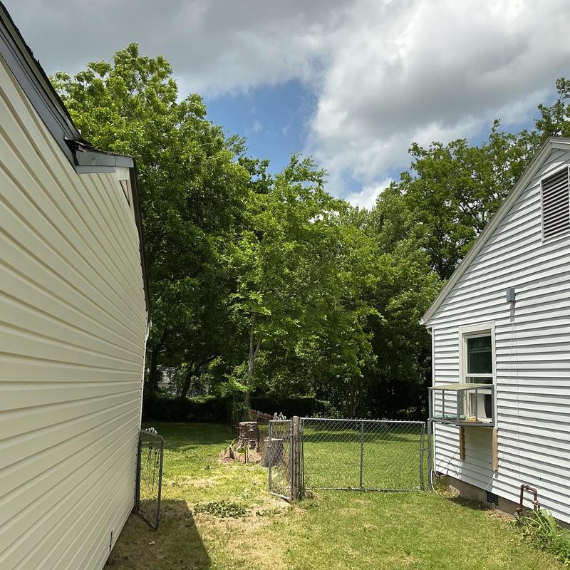 Hazardous tree stumps removal between houses and fence Hazardous tree stumps removal between houses and fence