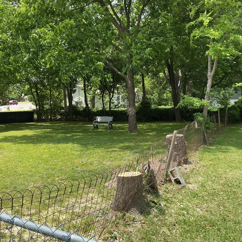 Tree stump removal near wire fence in backyard Tree stump removal near wire fence in backyard