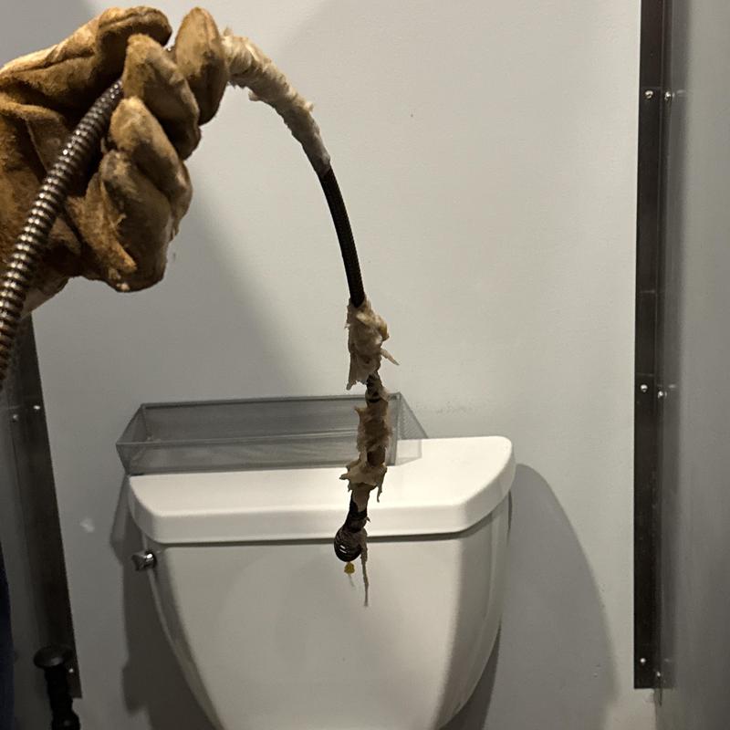 Toilet drain line clogged with paper towels being cleared Toilet drain line clogged with paper towels being cleared