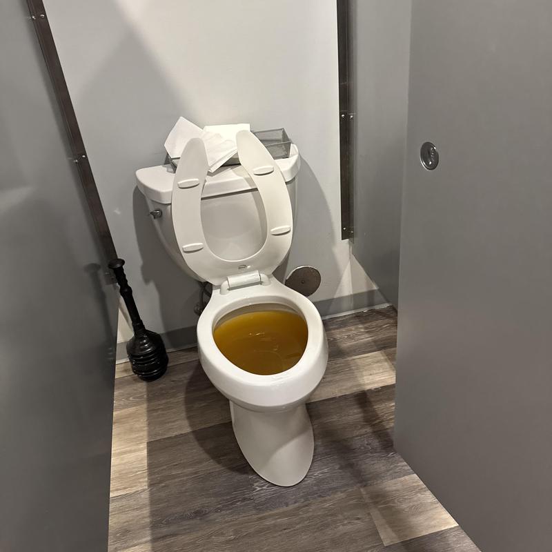 Toilet drain line clogged with paper towels and water backup Toilet drain line clogged with paper towels and water backup