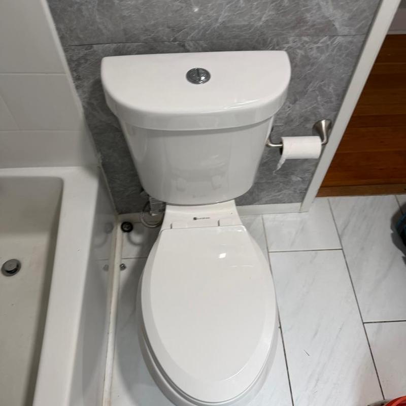 Toilet with new bolts and wax ring replacement