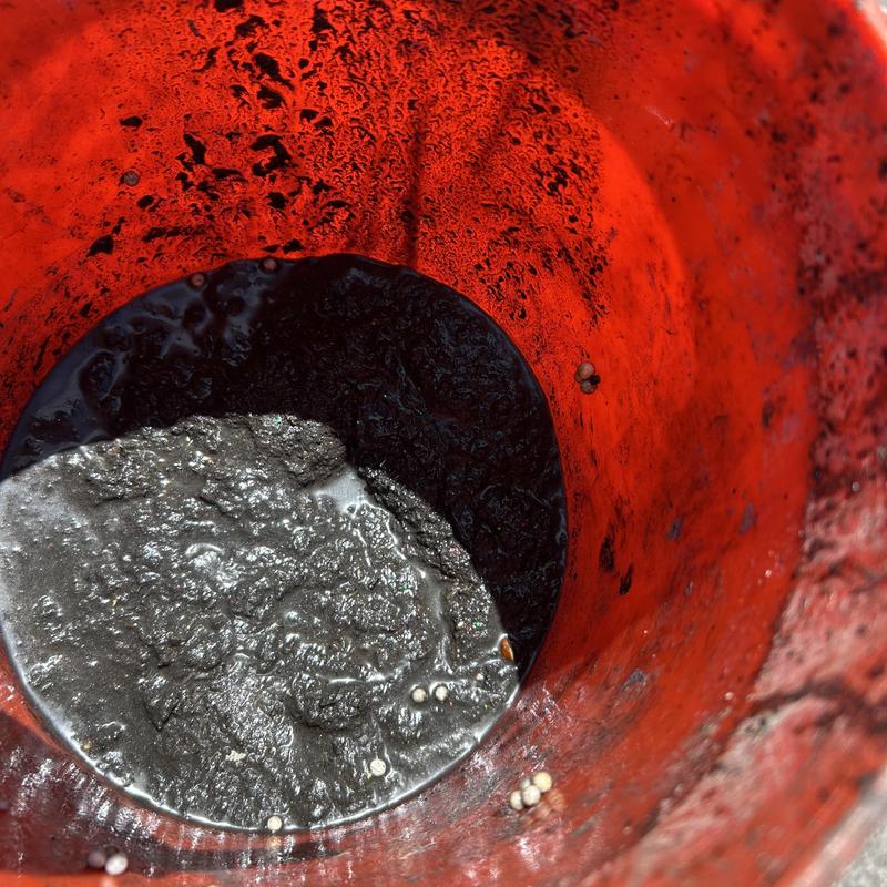 Commercial sink drain sludge inside red bucket