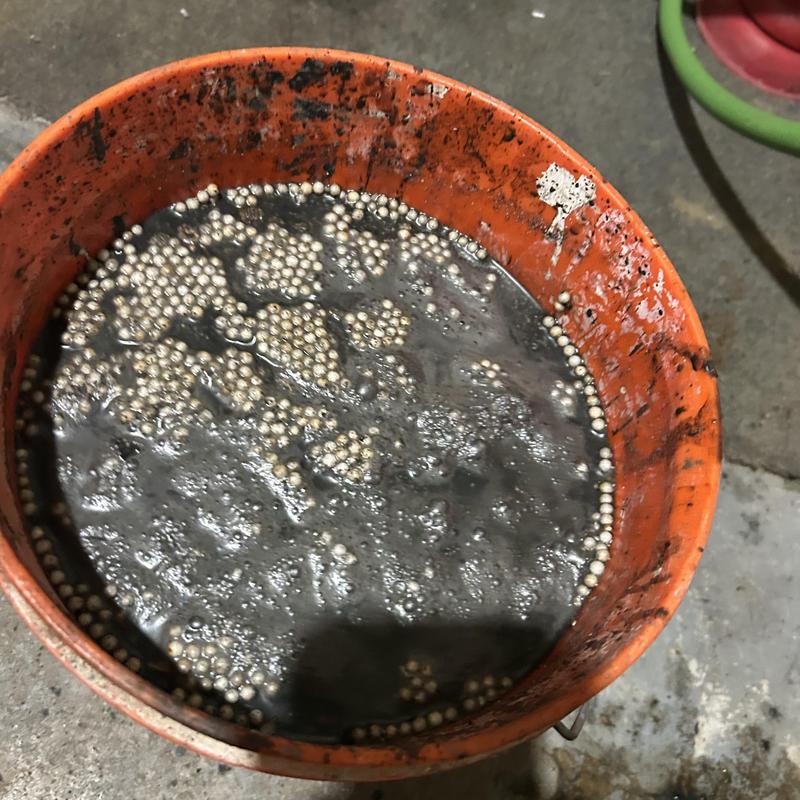Drain line cleaning debris in orange bucket