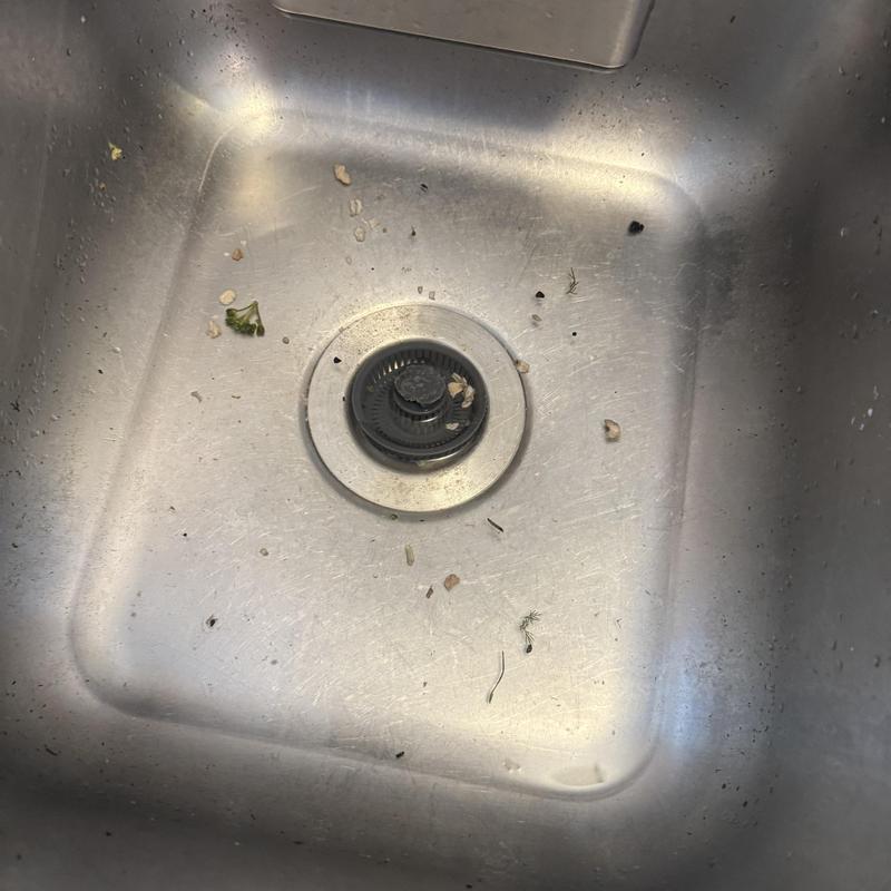 Garbage disposal drain flange with food debris in sink