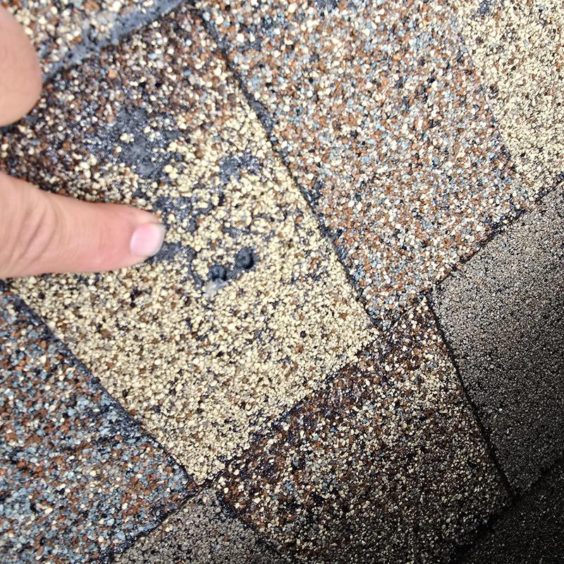 Shingle roof granule loss near leak area Shingle roof granule loss near leak area
