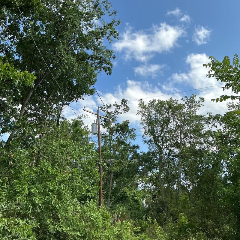 Power lines with tree limbs near clearing in McAlester Power lines with tree limbs near clearing in McAlester