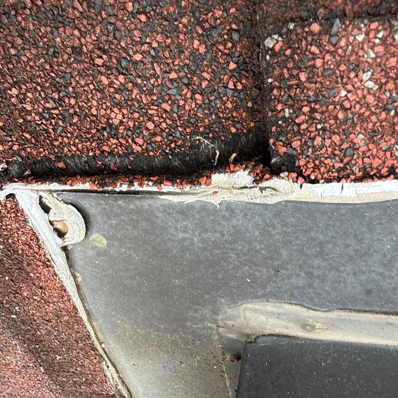 Roof flashing with uplifted edge and exposed nail rust