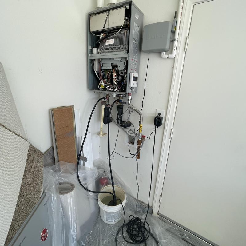 Tankless water heater flushing with descaling solution