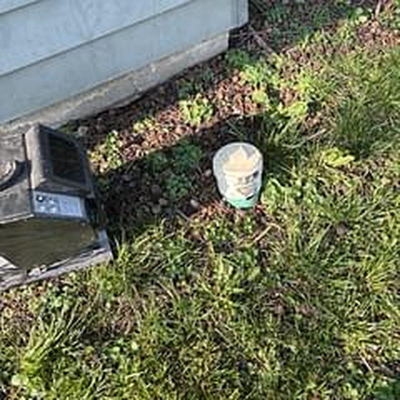 Sewer line cleanout in grass near house exterior