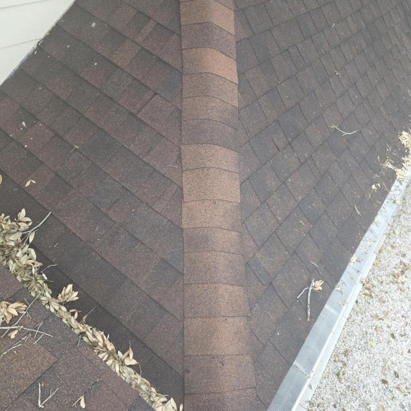 Asphalt shingle roof ridge with minor debris buildup