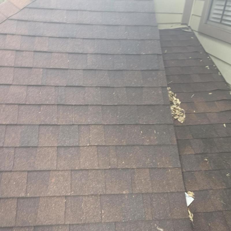 Asphalt shingle roof with minor debris and wear