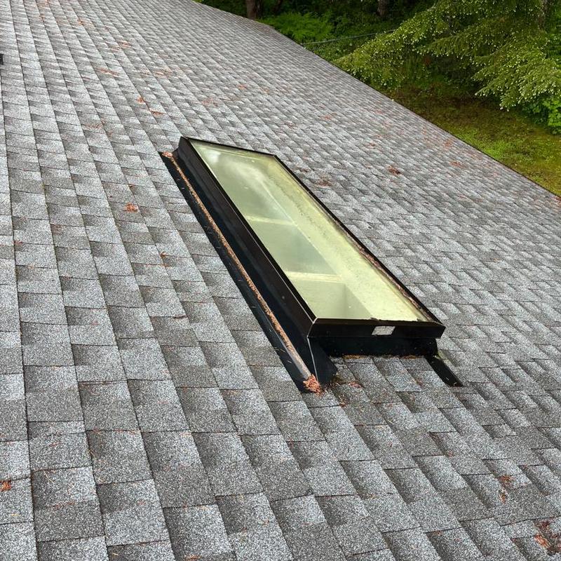 Skylight on shingled roof with debris buildup Skylight on shingled roof with debris buildup