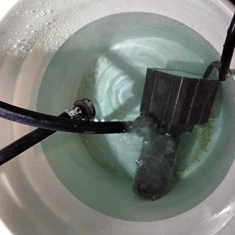 Tankless water heater flushing with hoses in bucket