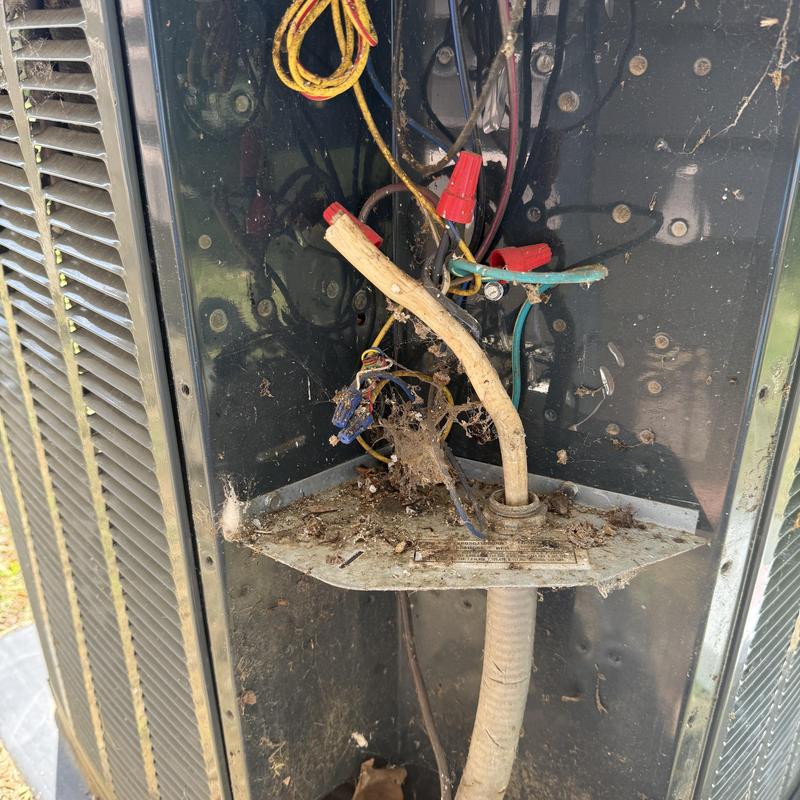 Air conditioning unit wiring with debris buildup interior Air conditioning unit wiring with debris buildup interior